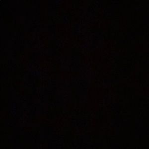 Meet your Posher, Dylan